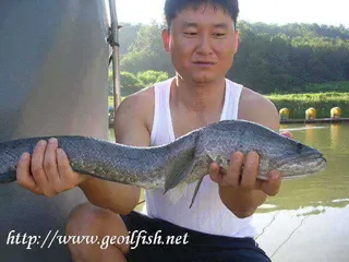 지금은 밤낚시 할때