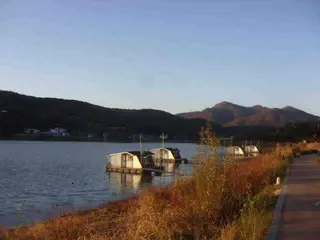 국화지 11월 첫째 주 조황 스케치