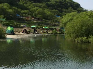 요룡지 행복낚시터 충남공주시 조황정보입니다~