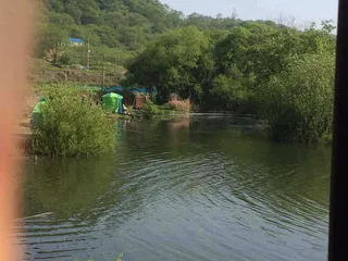 요룡지 행복낚시터 조황정보입니다 5월1일