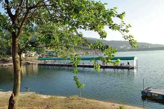 [황청낚시터]전량 붕어로만 방류하고 붕어조황도좋습니다