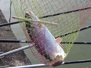 [유일낚시터] 송어들이 기다리고있는곳!!!