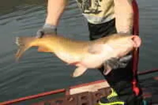 기산낚시터 4월 18일 조황정보