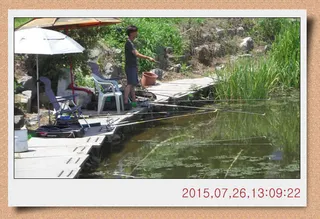 충남 아산 월선낚시터 8월 1일자 정기방류 및 스케치