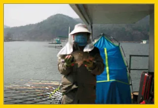 풍경이 아름다운 여주의 어우실낚시터 좌대에서....