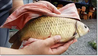 택암낚시터 조황정보