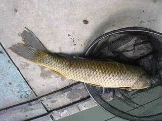 가뭄.....재앙$%^$%