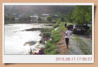 충남 아산 월선낚시터 8월 셋째주 정기방류 소식