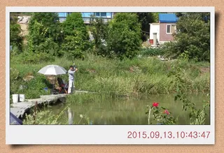 충남 아산 월선낚시터 9월 13일자 조황정보