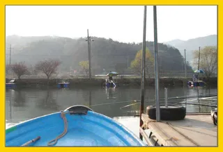 어제의 조황입니다.