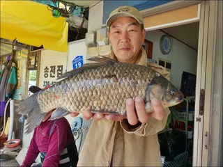 18.05.25 송전지 서울집 조황
