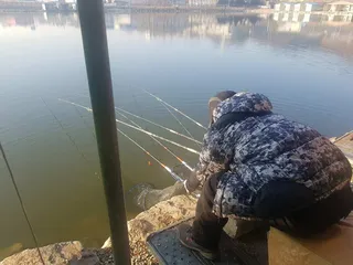 12  월  04   일  경기도 안성 거청낚시터 붕어조황