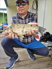 18.05.06 송전지 서울집 조황