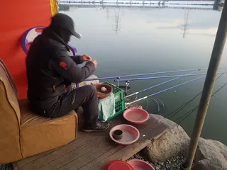 11  월  25   일  경기도 안성 거청낚시터 붕어조황