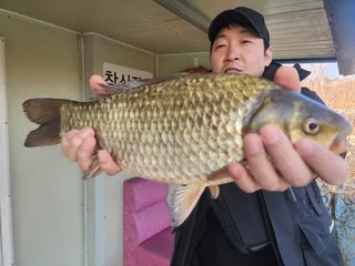 송전지 창신집 조황 정보