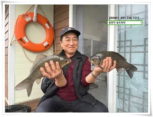 매끈한 마릿수, 송전지 송도좌대 조황.