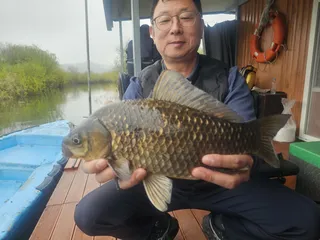 타이밍 맞추니 터진다.