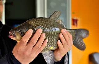 송전지서/울/좌/대 / 4월14일조황