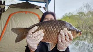 여조사 사짜 2수! 조용히 터진 오산집 대물찬스