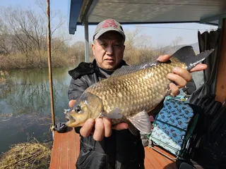 산란 전 폭발!  새벽을 깨운 대물붕어의 미친 찌올림