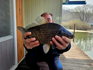 송전지 미성좌대 조황정보
