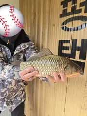 송전지 평택좌대 조황입니다 