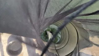 허리급 붕어의 손맛!! 송전지 수원좌대