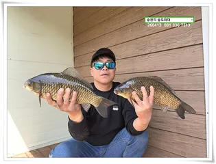 볕 받아낸 허리급, 송전지 송도좌대 조황.