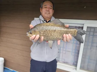 다시 터졌다! 대물 붕어 사짜