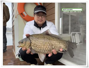 연이은 4짜. 송전지 송도좌대 조황.