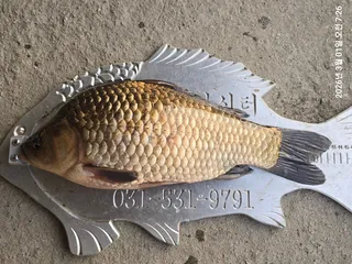 용담대물낚시터 