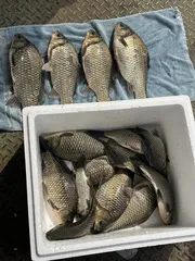 아산 안골지 입니다.