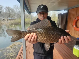 아침 피팅에 터지는 대물 행진 