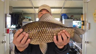 고삼지 주말 사짜조황입니다.
