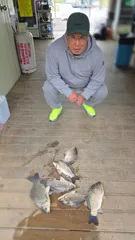 고삼지 양촌좌대!! 조황입니다.