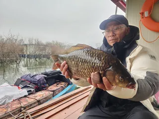 송전지 창신집 조황 정보