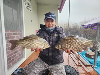 송전지 창신집 조황 정보