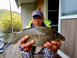 4짜 덩어리 마릿수 송전지 미성좌대