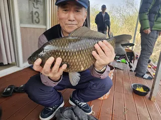 산란 폭발 ! 송전지 오삱집 사짜 붕어 또 터졌다!!!!"