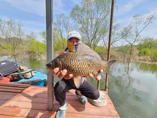  아침 한방에 끝냈다!