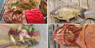 수곡낚시터 3월 중순 초 봄 붕어들 조황이 좋아지고 있네요