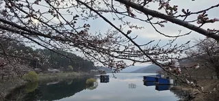 공주 고성 낚시터입니다.