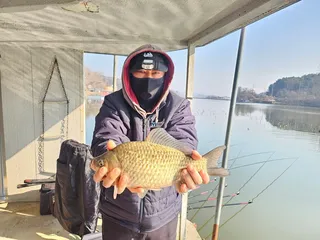 당진 가교리 낚시터 3월 26일 조황입니다