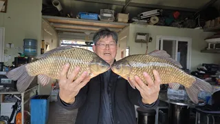 고삼지 시즌 시작되었습니다.