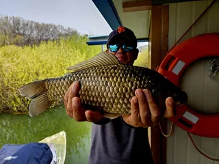 송전지 미성좌대 조황정보