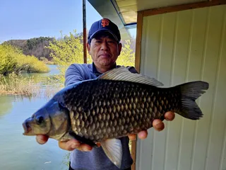 송전지 미성좌대 조황정보