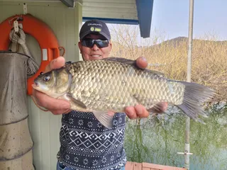 송전지 창신집 조황 정보