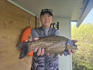 송전지 평택좌대  4찌붕어