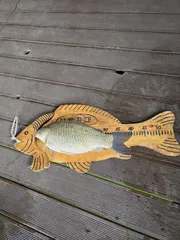 송전지서/울/좌/대 / 4월10일조황