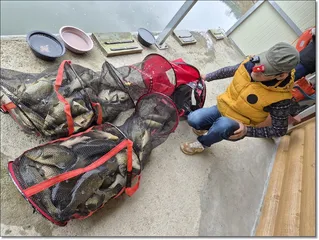 2026년 개장안내 및 조황소식